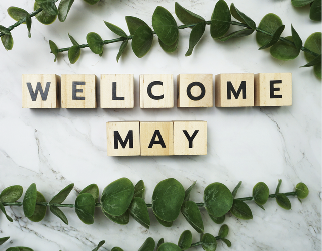 South Shore News - May